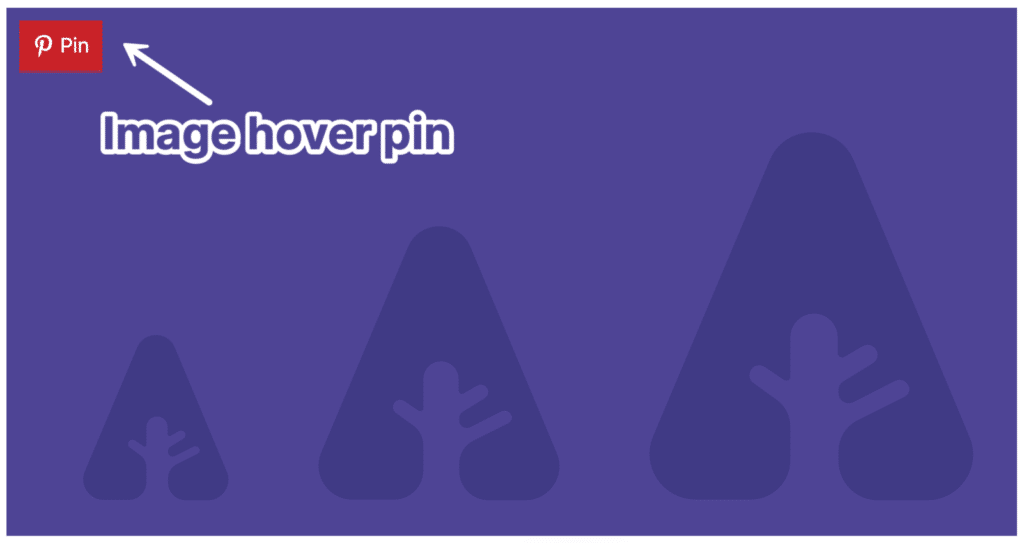 Pinterest image hover pin