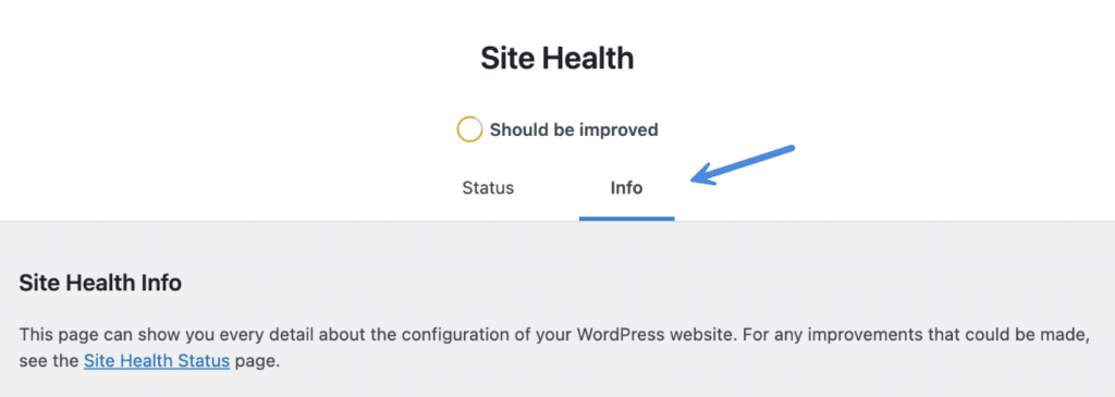 WordPress site info