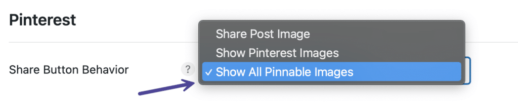 Show all pinnable images